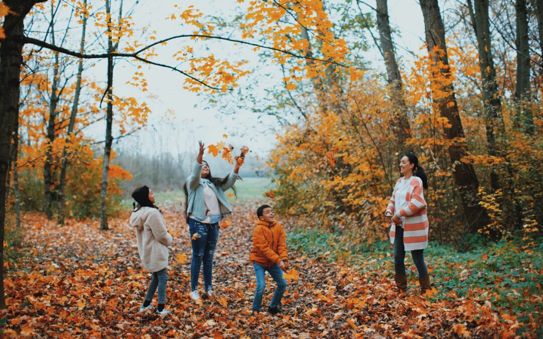 Boletín de Noviembre de 2023