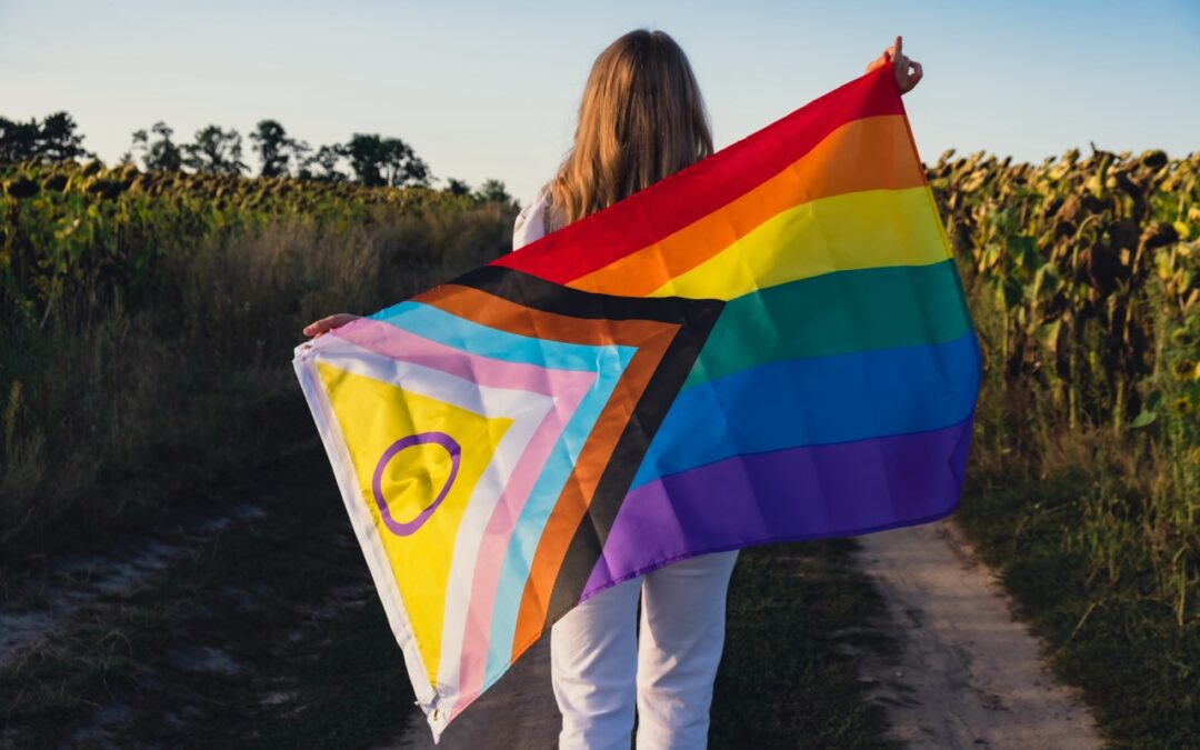 Boletín de junio de 2024