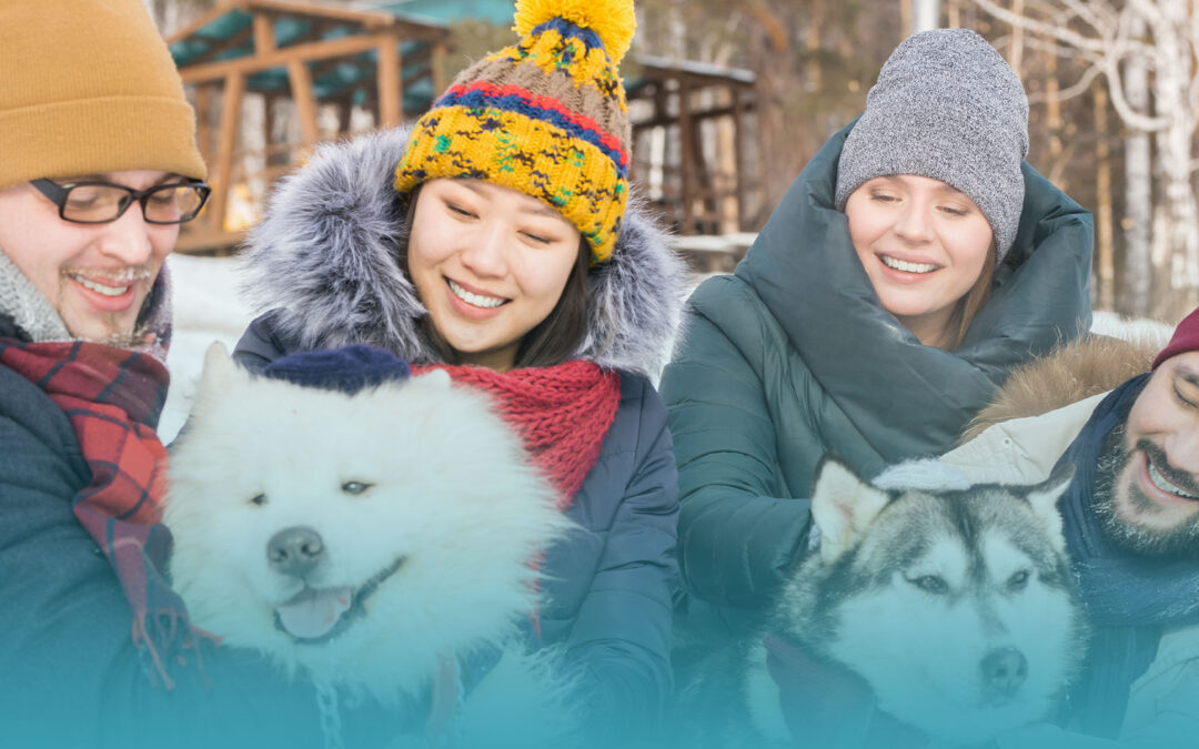 Boletín de febrero de 2025